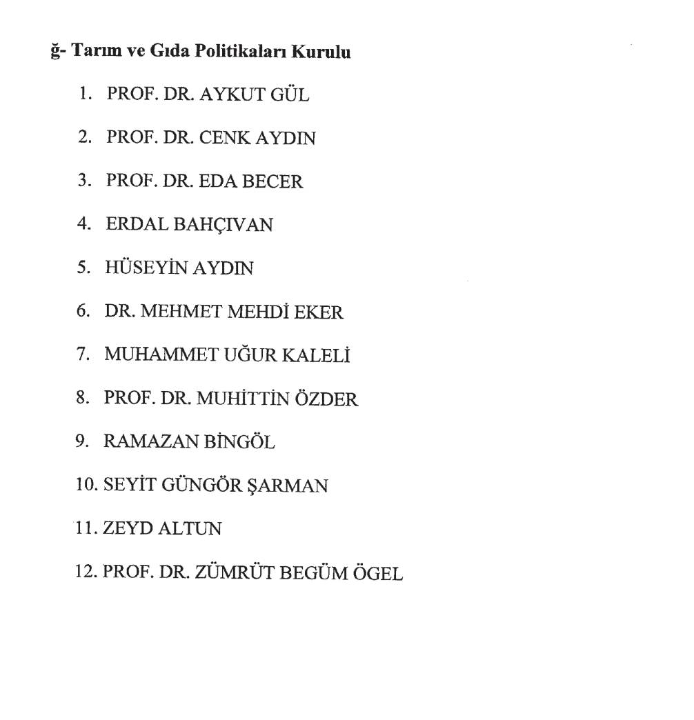Cumhurbaşkanlığı politika kurullarına yeni atamalar! Ünlü isimler de var 10
